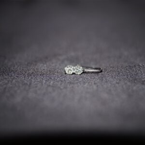 Twinkle Twin Silver Nose Ring - Elegant Näspiercing i 925 Silver med Två Klara Stenar