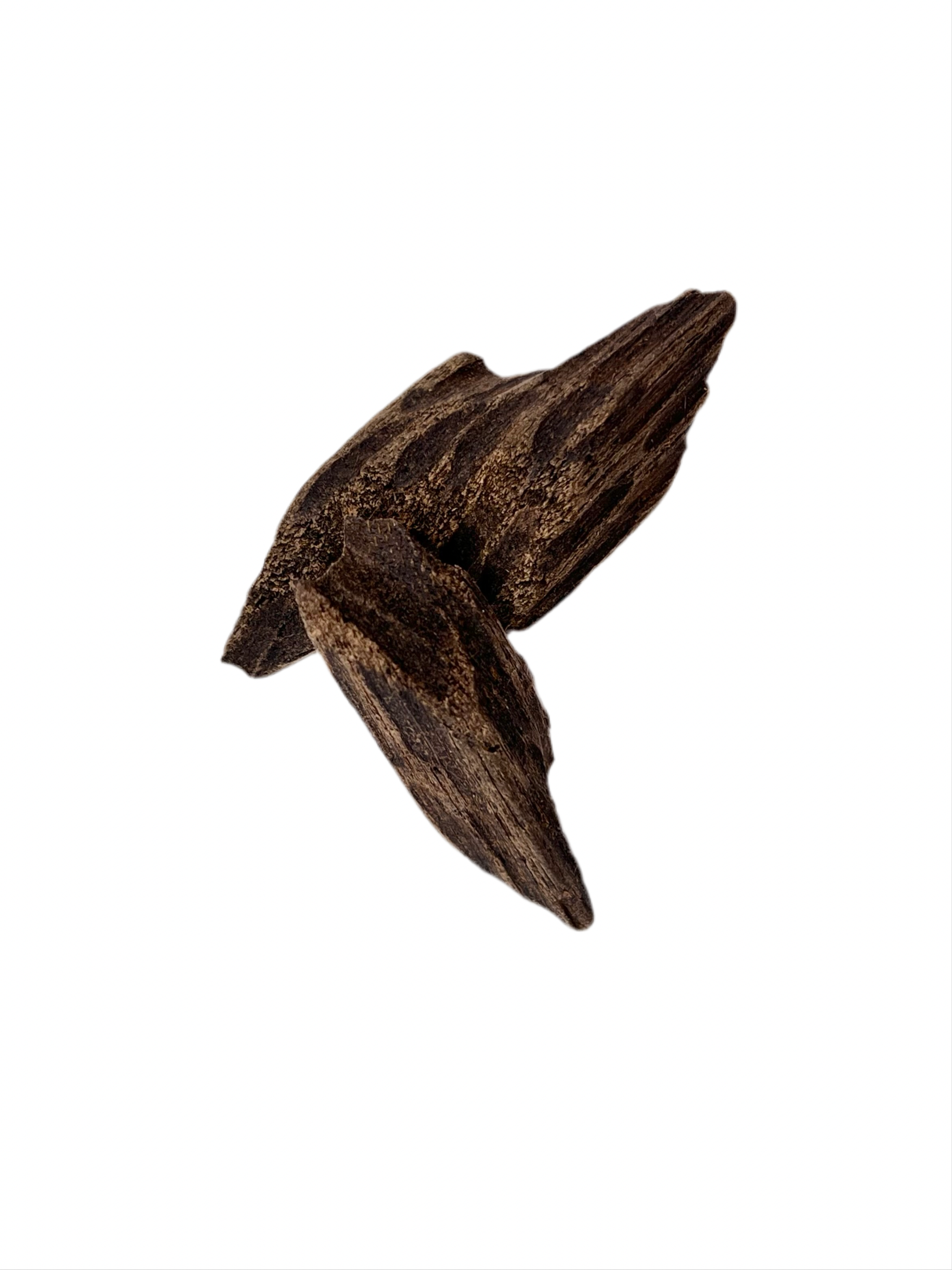 Indian Oud Wood