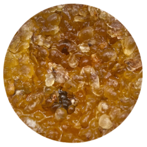 Luban Jasmine