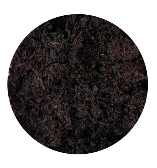 Special Reserve Bukhoor - Amara Odores