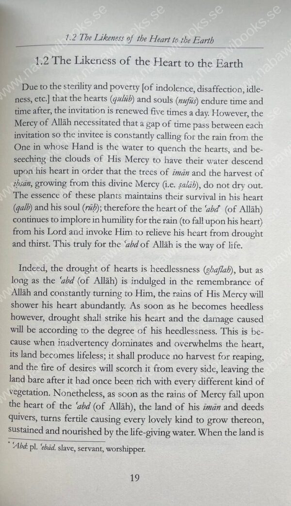 Inner Dimensions of The Prayer - Bild 4