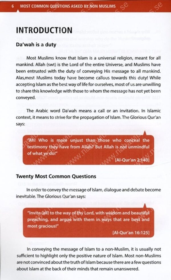 Most Common Questions Asked by Non-Muslims - Bild 3