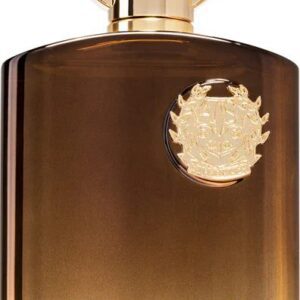 AFNAN SUPREMACY IN OUD – EDP 100ML