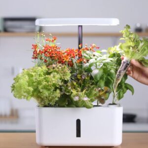 Hydroponisk inomhusträdgård - smart trädgård LEDlife